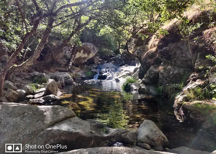 Y Vuelves Апартаменты